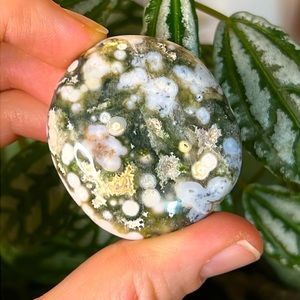 8th Vein Ocean Jasper Crystal Palm Stone
